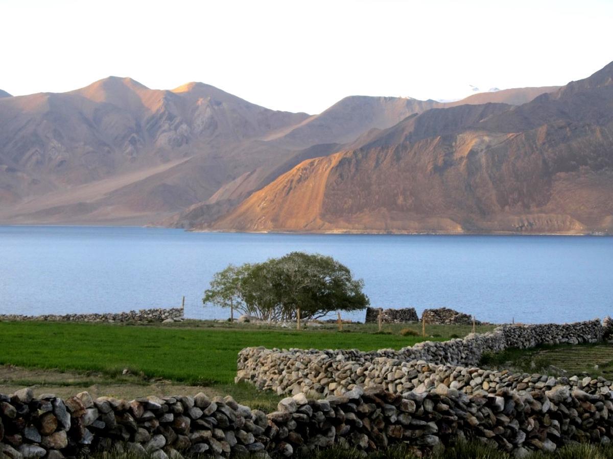Pangong Delight Camps And Cottages Spangmik Esterno foto