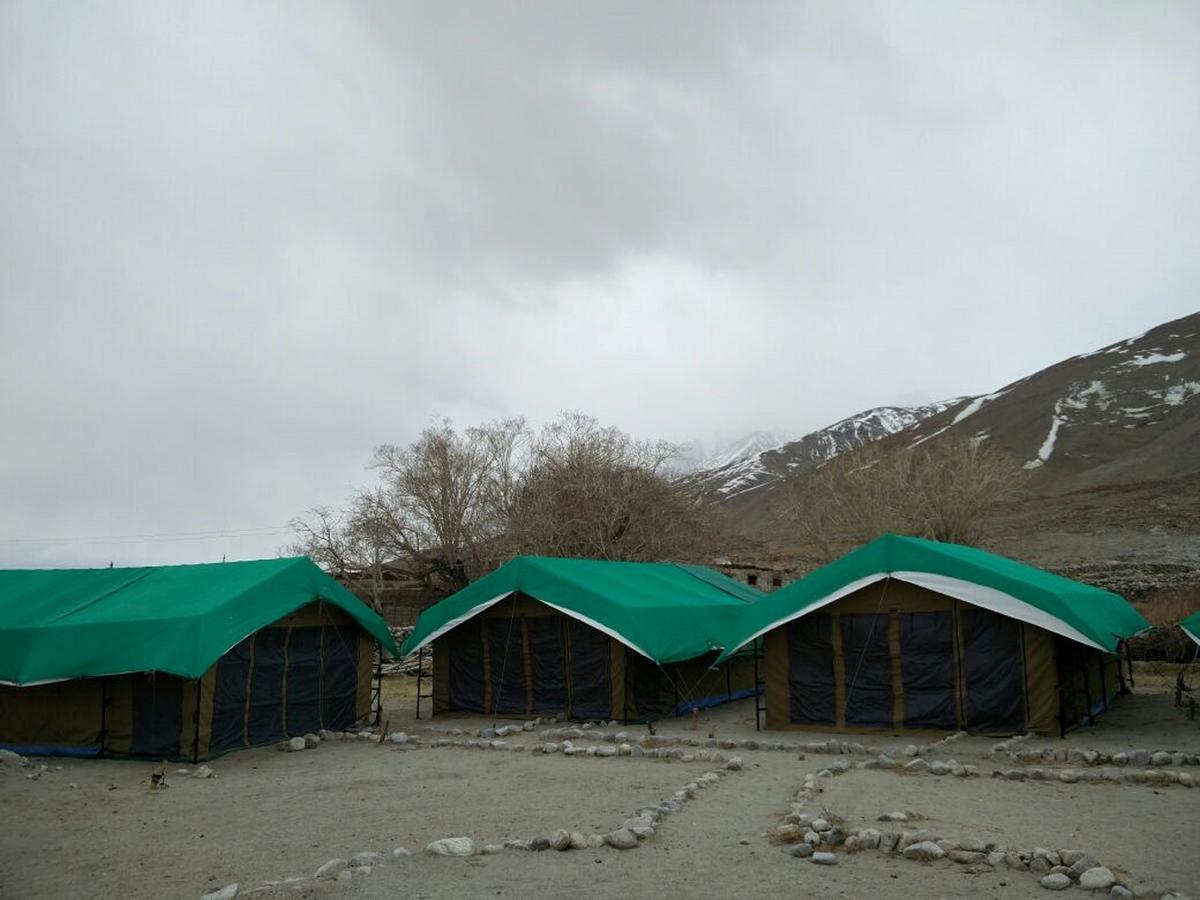 Pangong Delight Camps And Cottages Spangmik Esterno foto